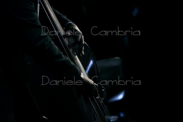Tribute (20)